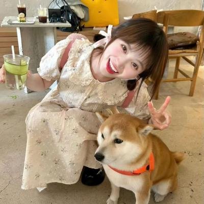 精灵高中之纽约